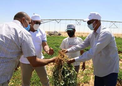 محافظ الوادي الجديد يتفقد مشروع زراعي في الفرافرة